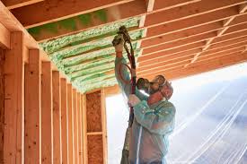 Best Commercial Insulation Services  in Havana, IL