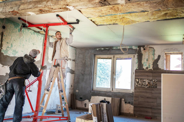 Best Wall Insulation Installation  in Havana, IL