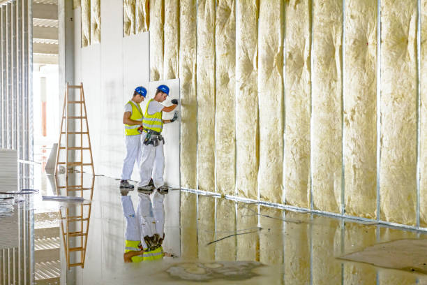 Best Soundproof Insulation  in Havana, IL